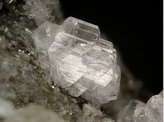 gal_153226_64153491cafcd.jpg