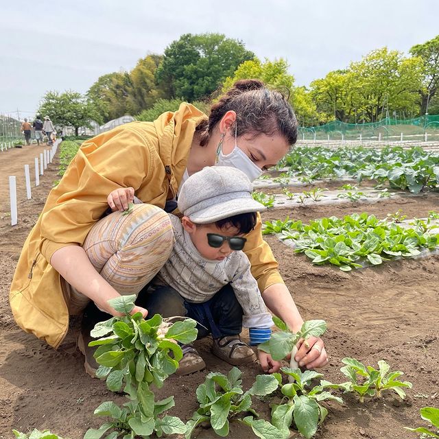 仲川希良のInstagram投稿芸能人インスタグラム新着情報「有名人インスタランキング」について