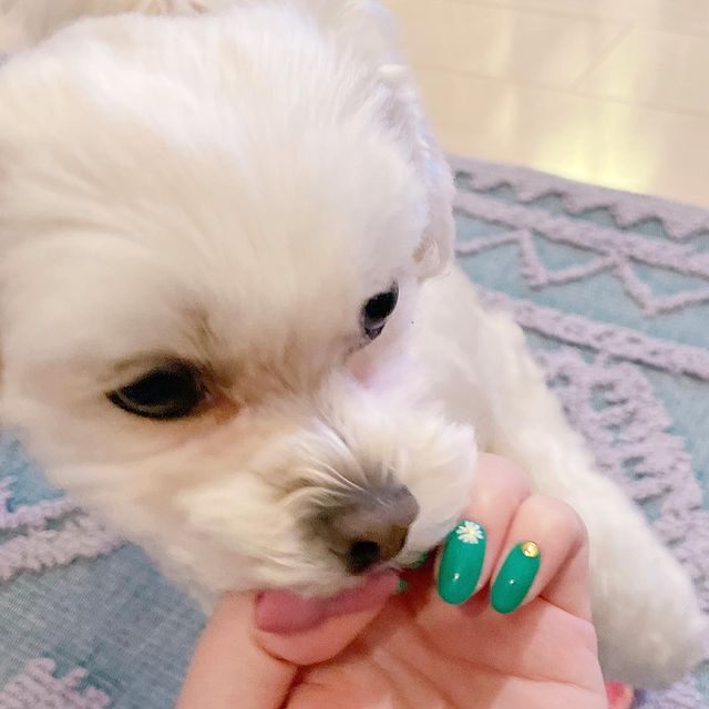 きゃりーぱみゅぱみゅのinstagram投稿 21年4月30日 23 11 有名人インスタランキング