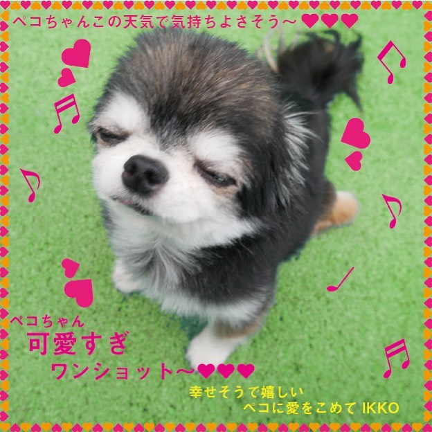 Ikkoのinstagram投稿 21年5月2日 10 59 有名人インスタランキング Ikkoのinstagram投稿 21年5月2日 10 59 有名人インスタランキング