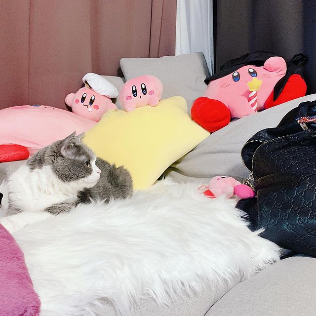 あやみ旬果のinstagram投稿 21年5月7日 21 11 有名人インスタランキング