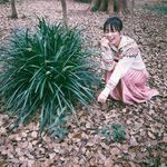 佐伯日菜子 有名人インスタランキング