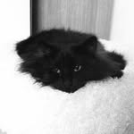 ソン ジェリム 有名人インスタランキング