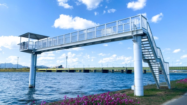 環境分析・測定サービス