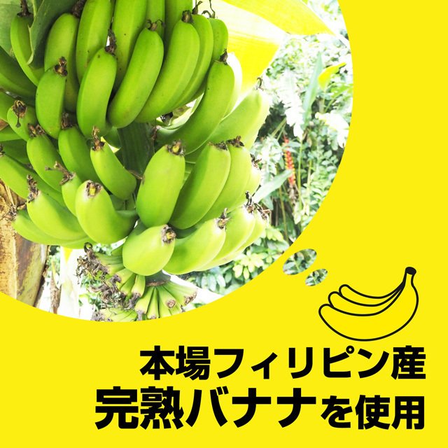 バナナチップス バナナチップ 500g 送料無料 ドライフルーツ ドライ フィリピン バナナ お菓子 おやつ ココナッツオイル paypay  Tポイント消化 | シェア買いならシェアモル（旧ショッピン）