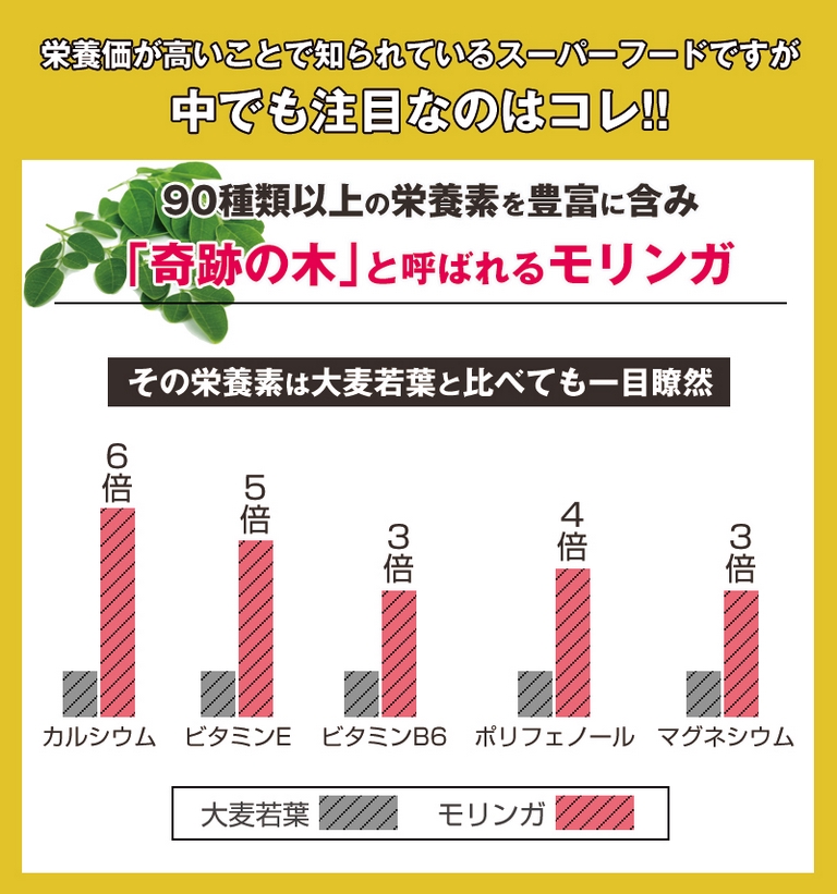 栄養満点！朝食の代わりに】「スラリードリッチバナナスムージープレミアム」160g 飲むだけ楽々ダイエット | シェア買いならシェアモル（旧ショッピン）