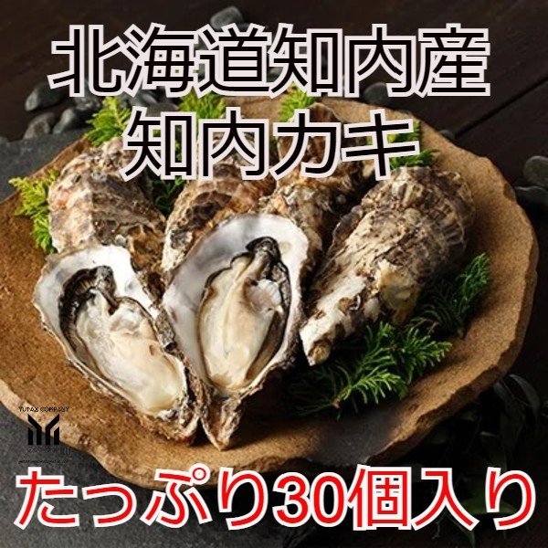 北海道知内産　特大　知内カキ　30個　ブランド牡蠣897002