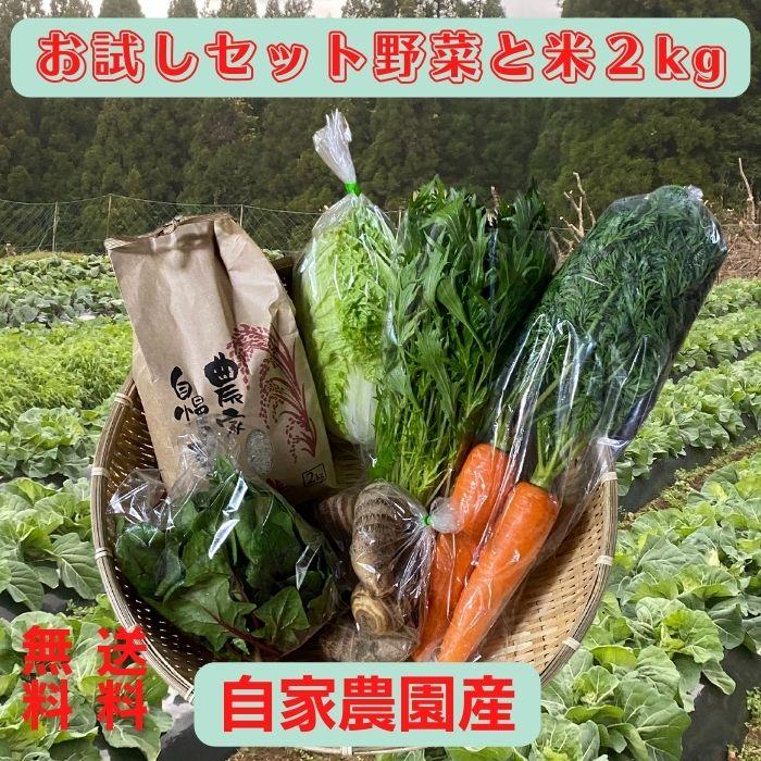 野菜＋米2kgお試しセット野菜 米 有機栽培 無農薬 熊本県産937813