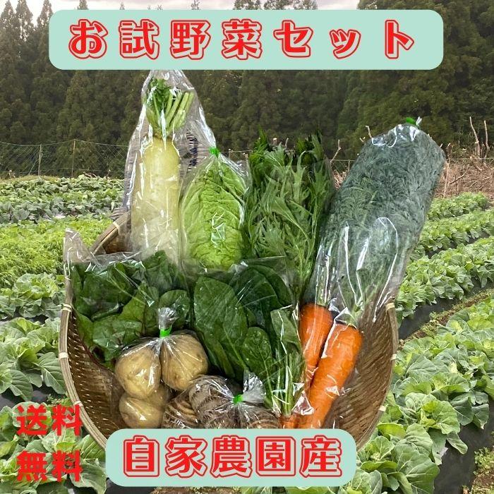 お試し有機野菜4〜6品セット 送料無料 有機栽培 無農薬937834