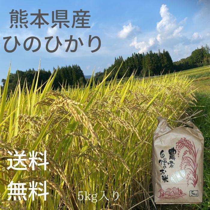 令和4年産新米 有機栽培米 ひのひかり 5kg 送料無料 有機栽培 無農薬 農家直送 産地直送937853
