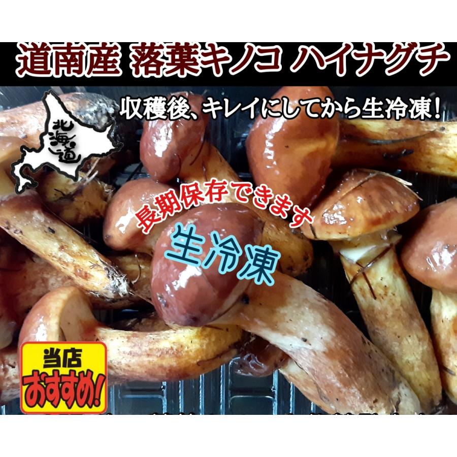 北海道 道北産】天然 落葉きのこ！ - 食品