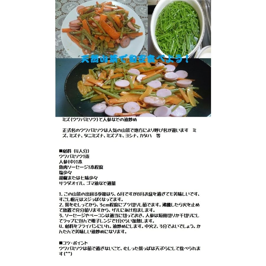 天然 山菜 みず 1kg 限定予約販売 青森県白神山麓便 送料無料 クール便 シェア買いならシェアモル 旧ショッピン