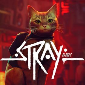 Strayのメイン画像