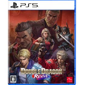 ダブルドラゴン リヴァイヴのメイン画像