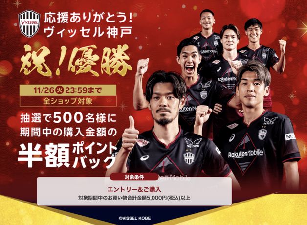 抽選で500名に半額キャッシュバック(11/26まで)