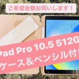 iPad Pro 10.5 512GB 中古 29,600円 | ネット最安値の価格比較 ...