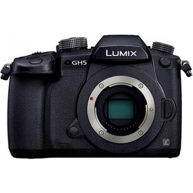 パナソニック Panasonic GH5 ボディ ブラック DC-GH5-K &lt;プレゼント包装承ります&gt;