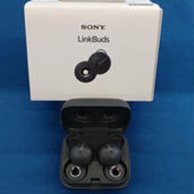 ワイヤレスイヤホン WF-L900 SONY