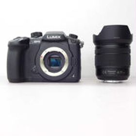 ミラーレス一眼 ズームレンズキット マイクロフォーサーズ DC-GH5ズームレンズキット PANASONIC