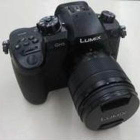 ミラーレス一眼 DC-GH5M PANASONIC