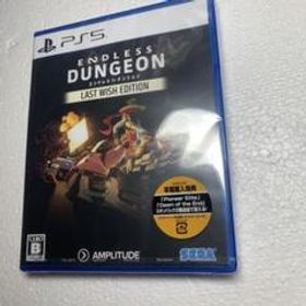 ENDLESS DUNGEON LAST WISH EDITION