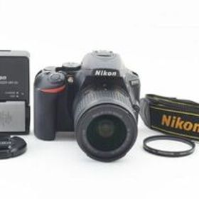 [美品] Nikon ニコン D5600 + AF-P 18-55mm レンズ #2058660