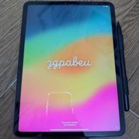 iPad Pro 11インチ 256GB Wi-Fi 2018 グレイ 中古