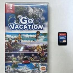 【ほぼ新品】 Go Vacation ゴーバケーション Switch