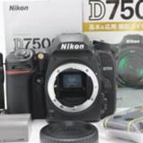 4828ショット！Nikon D7500