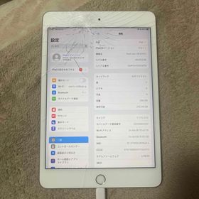 iPad mini 2019 (第5世代) 訳あり・ジャンク 21,000円 | ネット最安値 ...