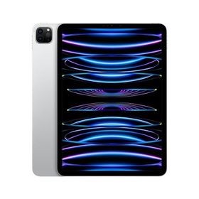 iPad Pro 11 新品 69,999円 | ネット最安値の価格比較 プライスランク