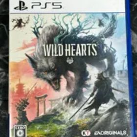 22.PS5ソフト【WILD HEARTS】