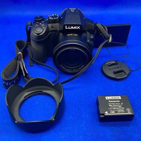 パナソニック(Panasonic)のPanasonic LUMIX DMC-FZ300(コンパクトデジタルカメラ)