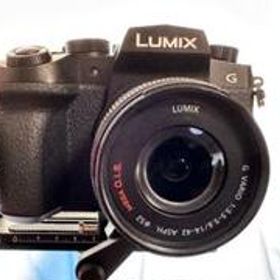 Panasonic LUMIX DC-G99、標準レンズ、追加充電器バッテリー
