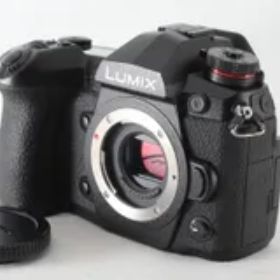Panasonic パナソニック LUMIX DC-G9 ボディ ブラック 僅か3345ショット 付属品満載 カメラ ◇44228