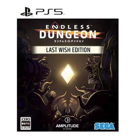 ENDLESS(TM） Dungeon Last Wish Edition PS5 ELJM-30273
