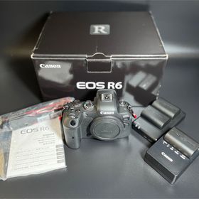 キヤノン(Canon)のCanon ミラーレスカメラ EOS R6 ボディ(ミラーレス一眼)
