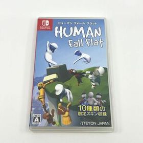 Nintendo Switch ヒューマン フォール フラット HUMAN fall flat