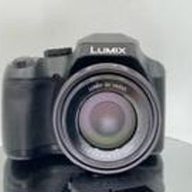 【LUMUX・動作〇】SONY デジタルカメラ DC-FZ85