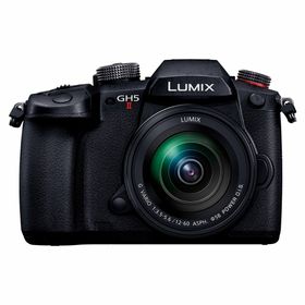 パナソニック LUMIX DC-GH5M2M 標準ズームレンズキット(ミラーレス一眼)