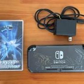 Nintendo Switch Lite ディアルガ・パルキア 充電器付き