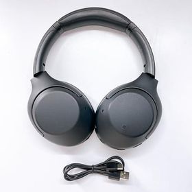 ソニー ワイヤレスノイズキャンセリングヘッドホン WH-XB900N : 重低音モデル / Amazon Alexa搭載 / bluetooth /