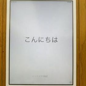 初代iPad mini 16GB☆ MD543J/A