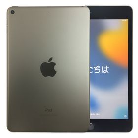 【中古】 アップル iPad mini 第5世代 WiFi 64GB SpaceGray スペースグレー A2133 本体
