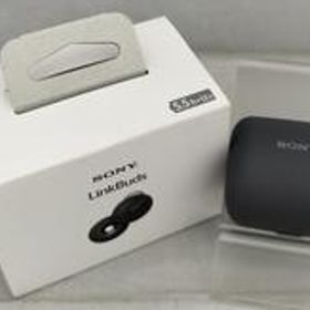 ワイヤレスイヤホン WF-L900/HM SONY