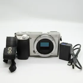 SONY α6000 シルバー ボディ (シャッター約6300回) SONY α6000 シルバー ボディ (シャッター約6300回)