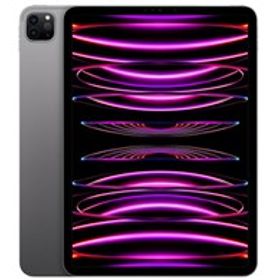 iPad Pro 11 新品 53,814円 | ネット最安値の価格比較 プライス