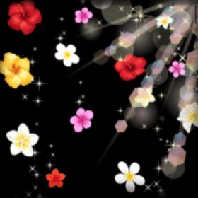 プルーメサンシャイン モーション | ガルショのアカウントデータ、RMTの販売・買取一覧