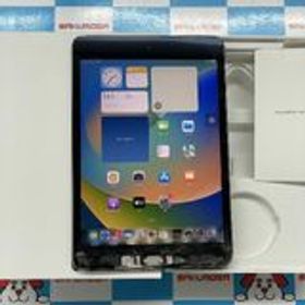 9427 ジャンク iPad mini5 第5世代 256GB SIMフリー タブレット