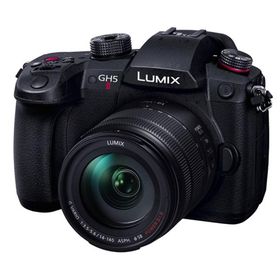 Panasonic（パナソニック） LUMIXミラーレス一眼 高倍率ズームレンズキット DC-GH5M2H